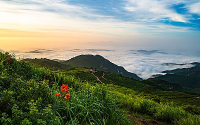 황매산 !