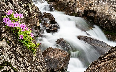 지리산 !