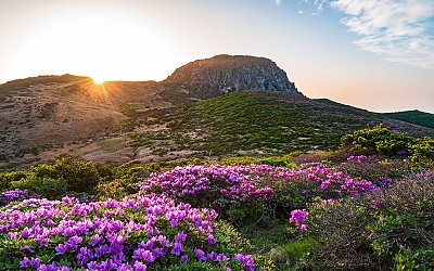 한라산 !