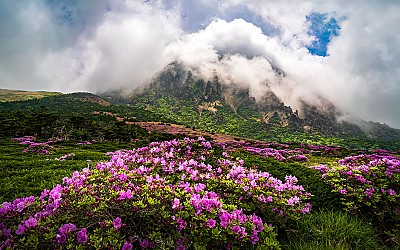 한라산 !