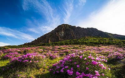 한라산 !