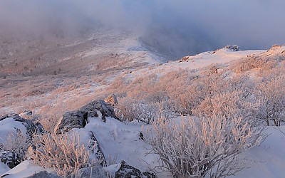 이침에 내린 빛.
