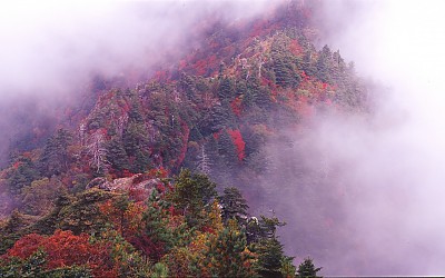 지리산 가을-2