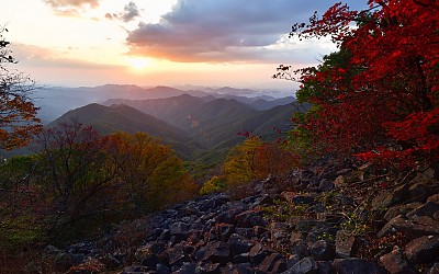 가을 빛