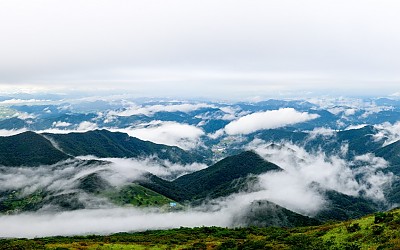 춤추는 운해