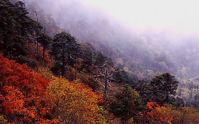 지리산 가을