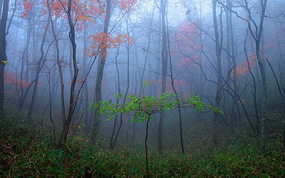 아쉬운 산행