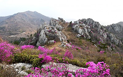 주작산