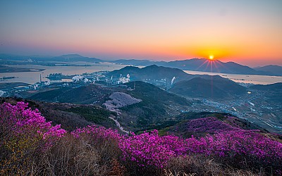 여수 영취산의 봄