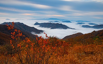 운장산의 가을능선