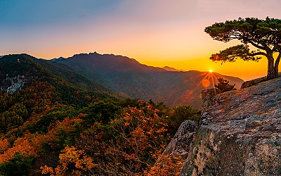 팔공산