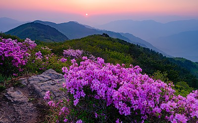 고리봉