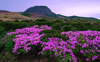 한라산