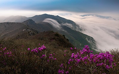 가지산