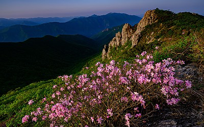 가지산
