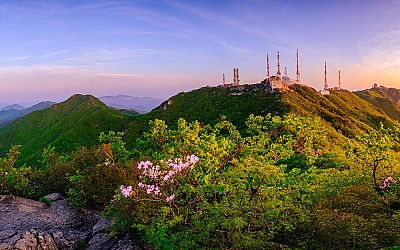 팔공산2