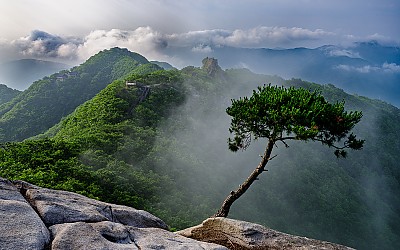 팔공산