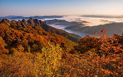 구봉산