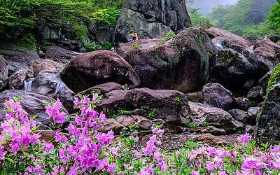 하동 명상바위