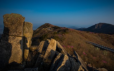 비슬산