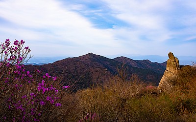 비슬산