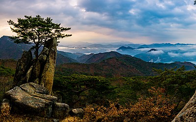 외솔봉