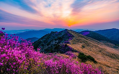 화왕산