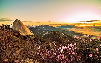 북한산 진달래와 빛내림