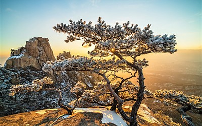 상고대와 일출 에덴의 동산