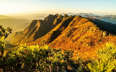 가야산 단풍
