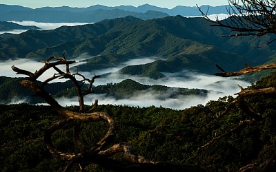 삼악산 고사목 사이로