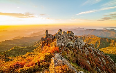 지리산단풍