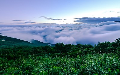 노고단 운해