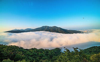 검단산 운해