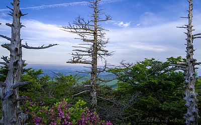 한라산