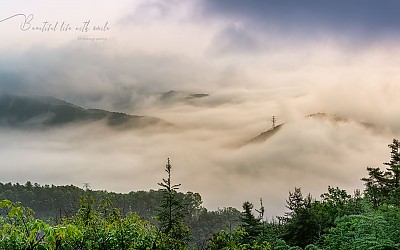 봄 산정