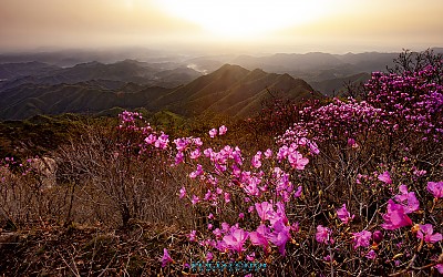 대둔산