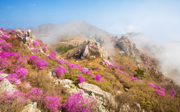 이 보다 나은 주작산의 모습을 기대하지만