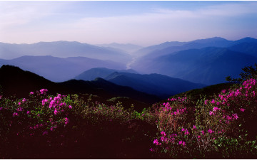 그리운 왕의 강!