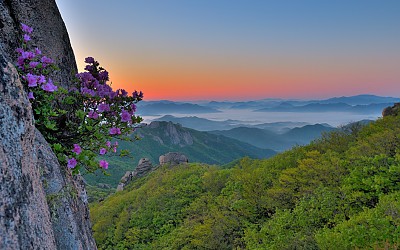 월출의 봄 ,,구정봉쪽에서
