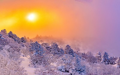 조금만더 열려야....