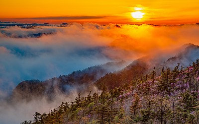 설악의 빛