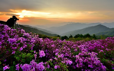 멋진 모델,,팔랑치에서