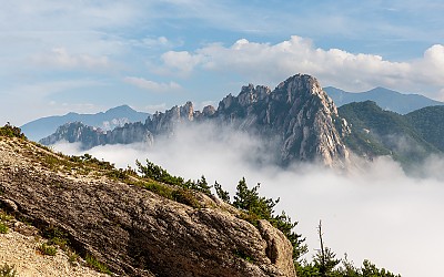 살포시 뒤에