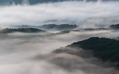 자연이