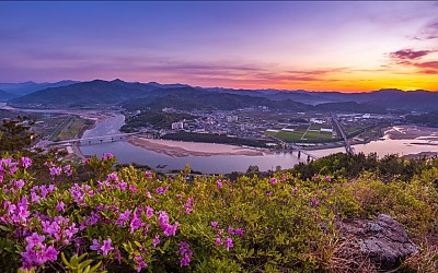 무동산