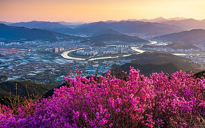 종남산
