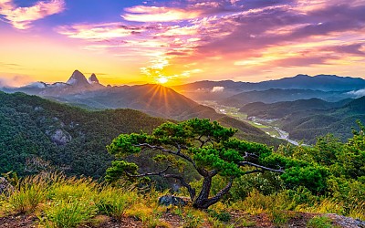 동촌리