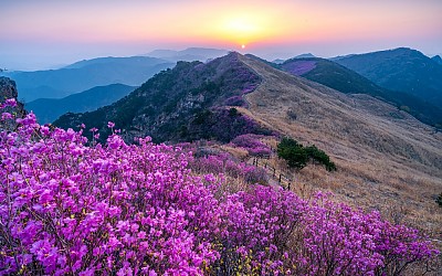 화왕산