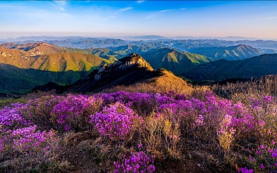 가지산